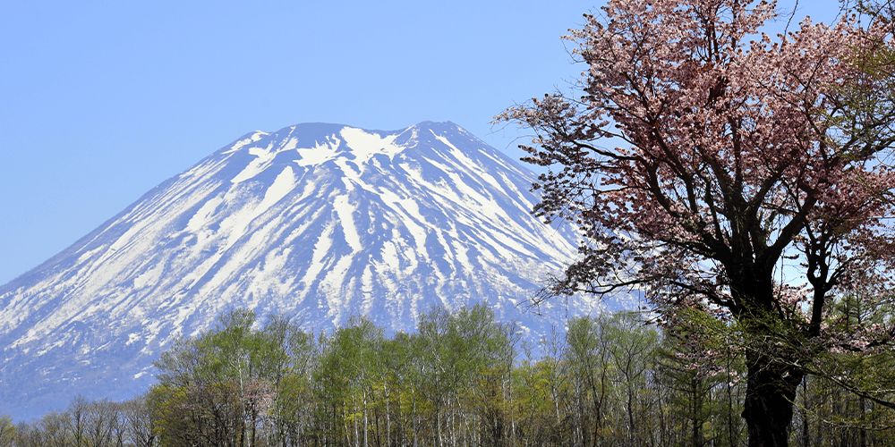 Getting-here (2)_compress